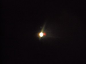 Venus at Buehler Observatory